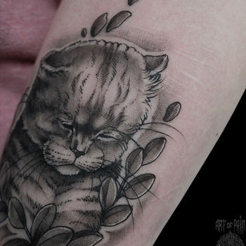 Татуировка женская графика на предплечье полосатый кот