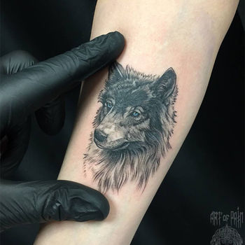 Татуировка женская реализм на предплечье волк