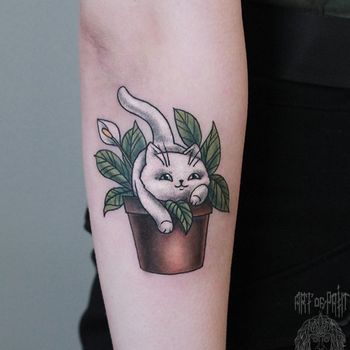 Татуировка женская нью-скул на предплечье котик в горшке с цветами