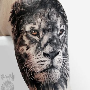 Татуировка мужская реализм на плече старый лев