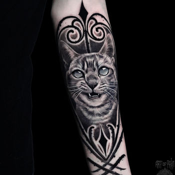 Татуировка мужская реализм на предплечье кот