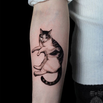 Татуировка женская реализм на предплечье черно-белый кот