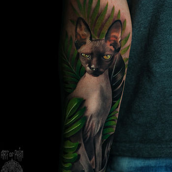Татуировка женская реализм на предплечье кот сфинкс