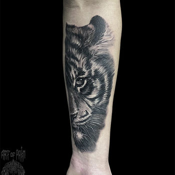 Татуировка мужская реализм на предплечье тигр (черно-белая тату)