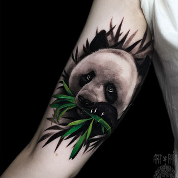 Татуировка женская реализм на руке панда