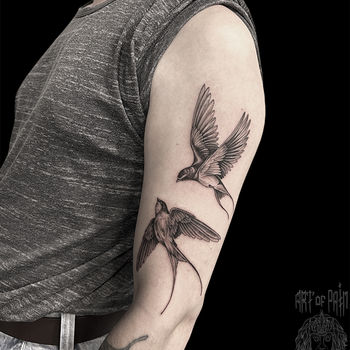 Татуировка мужская графика на плече ласточки