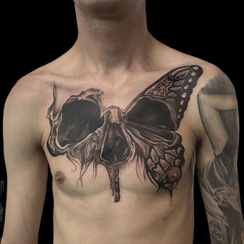 Татуировка мужская графика на груди бабочка 