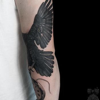 Татуировка мужская реализм на руке крыло ворона