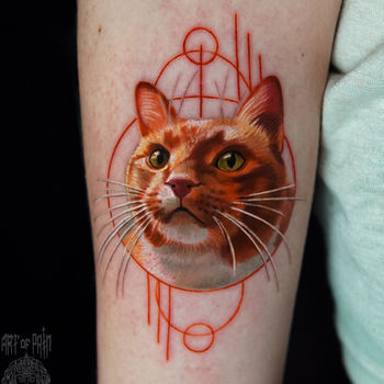 Татуировка женская реализм на предплечье рыжий кот