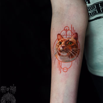 Татуировка женская реализм на предплечье котик