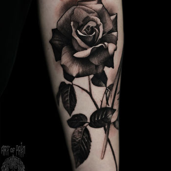 Татуировка женская реализм на предплечье роза