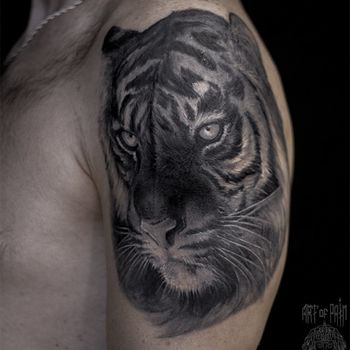Татуировка мужская реализм на плече голова тигра