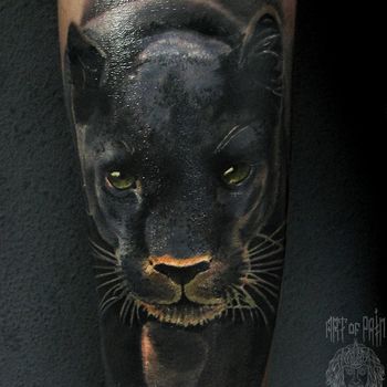 Татуировка мужская реализм на предплечье пантера