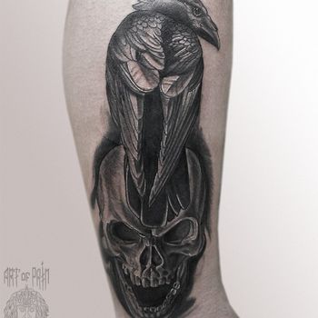Татуировка мужская black&grey на голени ворон и череп