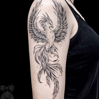 Татуировка женская графика на плече феникс