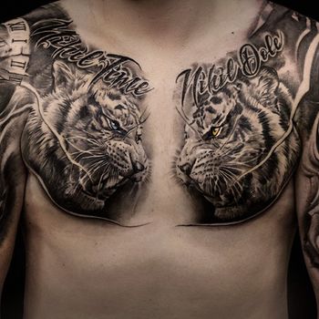 Татуировка мужская black&grey на груди тигры