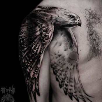 Татуировка мужская реализм на плече сокол