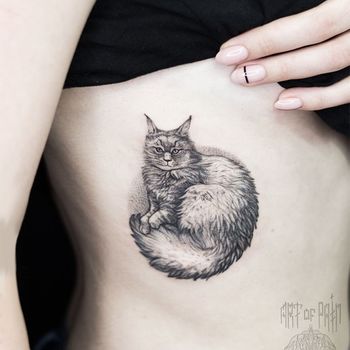 Татуировка женская графика на боку пушистый кот