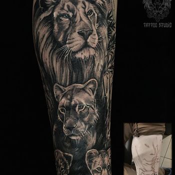 Татуировка мужская black&grey на ноге львы