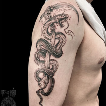 Татуировка мужская графика на плече змея