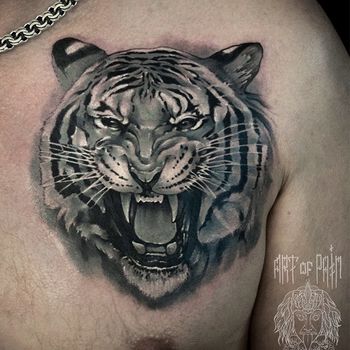 Татуировка мужская black&grey на груди тигр
