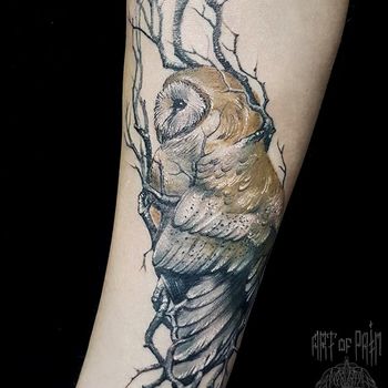 Татуировка женская реализм на предплечье сова на дереве