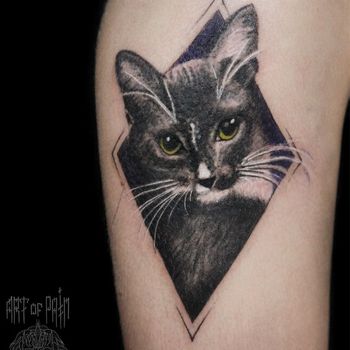 Татуировка женская реализм на руке кот