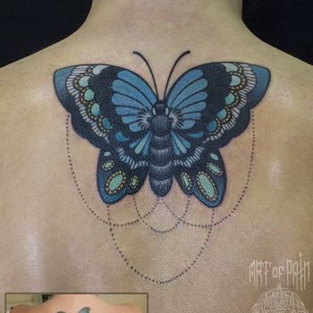 Татуировка женская олд скул на спине бабочка