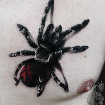 Татуировка мужская black&grey на груди паук