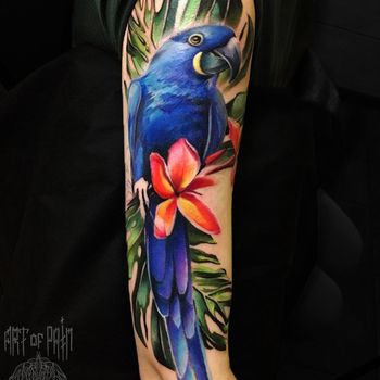 Татуировка женская реализм на плече попугай