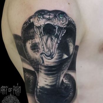 Татуировка мужская реализм на плече кобра