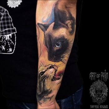 Татуировка мужская реализм на предплечье кот
