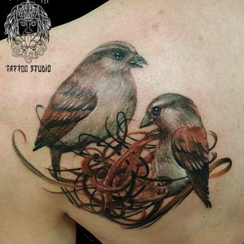 Татуировка женская реализм на лопатке птицы