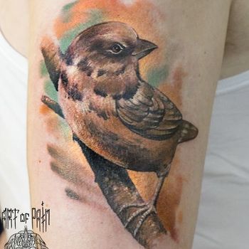 Татуировка женская реализм на плече птицы
