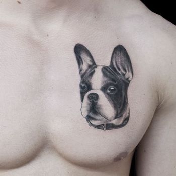 Татуировка мужская реализм на груди французский бульдог