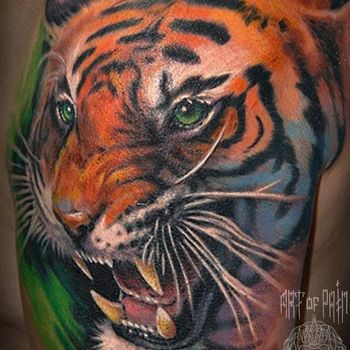 Татуировка мужская цветной реализм на плече тигр