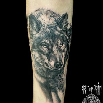 Татуировка мужская реализм на предплечье серый волк