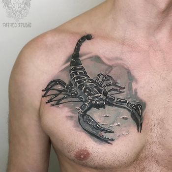 Татуировка мужская реализм на груди скорпион