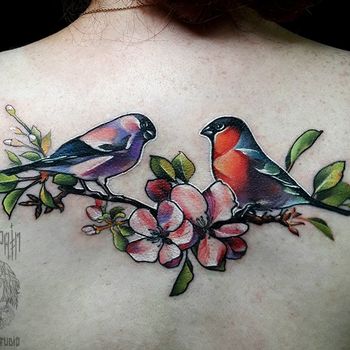 Татуировка женская реализм на спине птицы