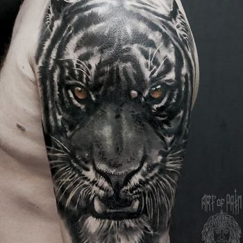 Татуировка мужская реализм на плече тигр