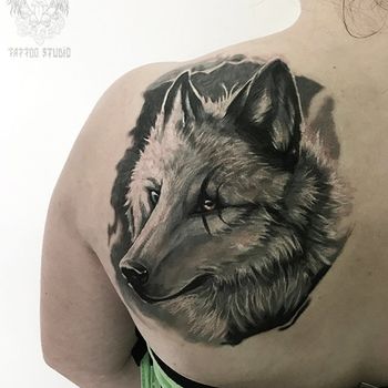 Татуировка женская реализм на лопатке волк
