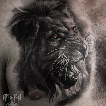 Татуировка мужская реализм на груди серый лев с желтыми глазами