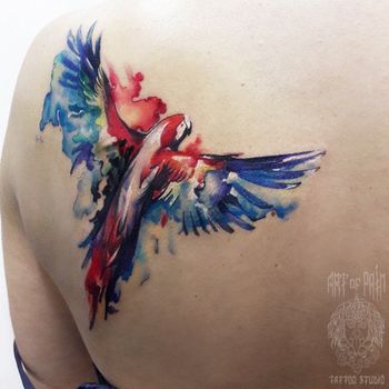 татуировка женская акварель на лопатке попугай