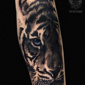 Татуировка мужская реализм на предплечье тигр с синими глазами