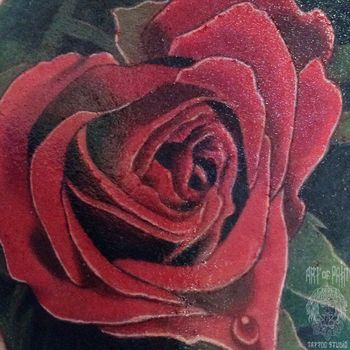 Татуировка женская реализм на плече алая роза